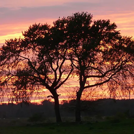 Landhauser Waase * Ummanz